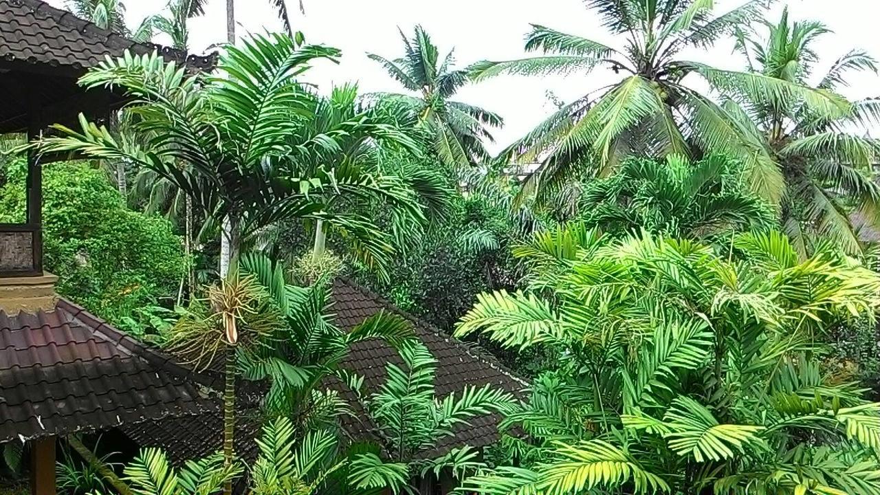 Sari Wangi Cottage Ubud  Bagian luar foto