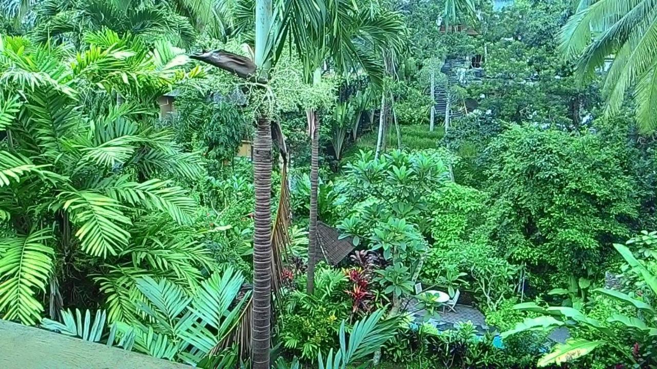 Sari Wangi Cottage Ubud  Bagian luar foto