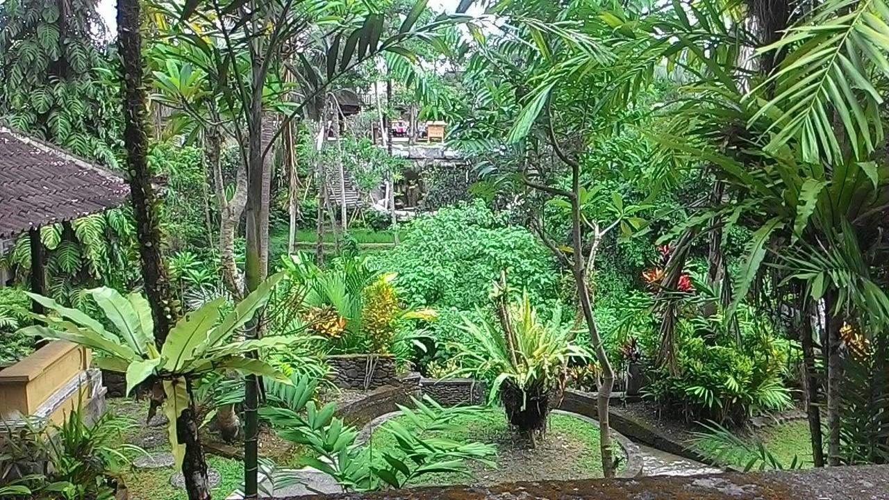 Sari Wangi Cottage Ubud  Bagian luar foto